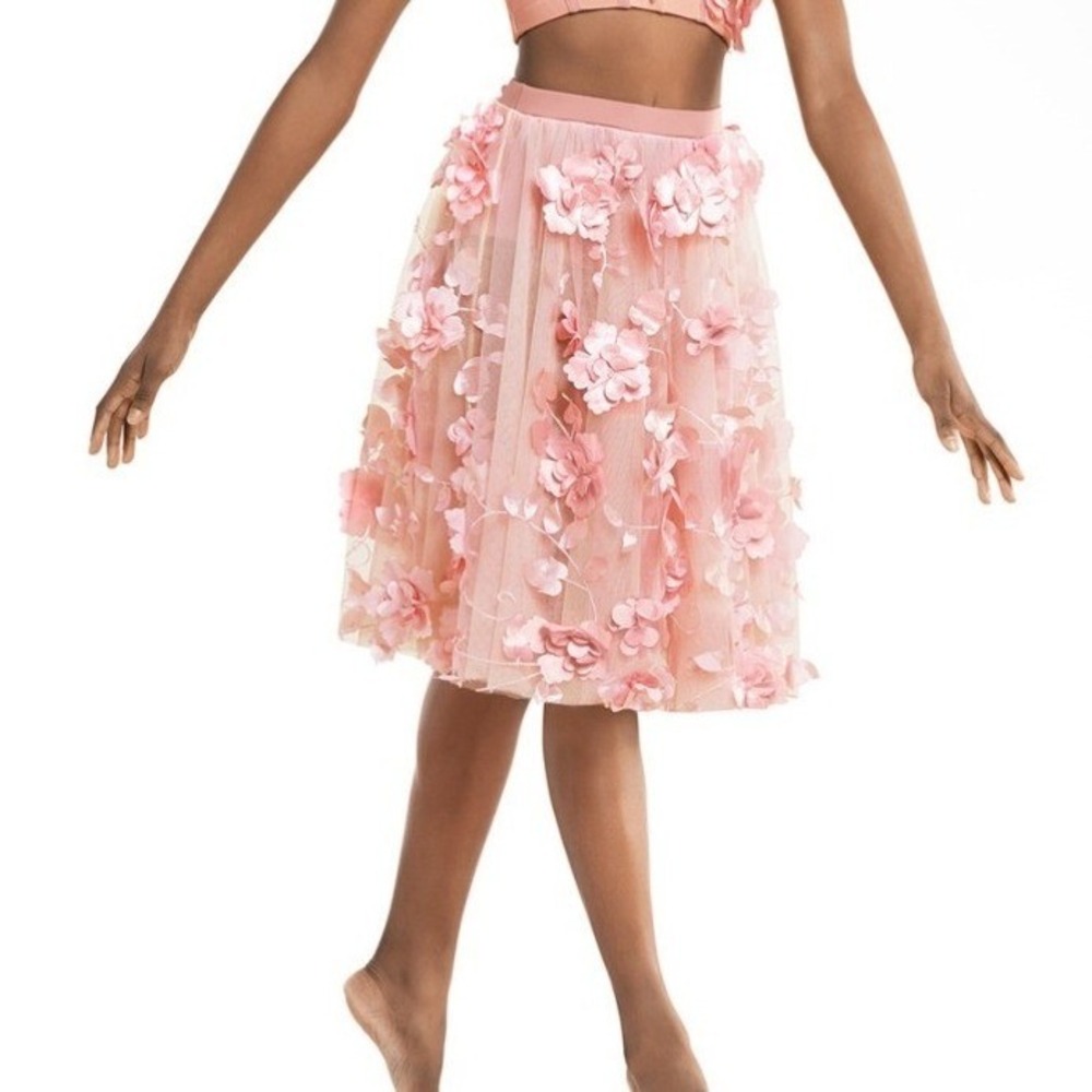 10th House‎ Ballet Dance Costume Adult S Tulle Skirt Pink Tutu  Embellished